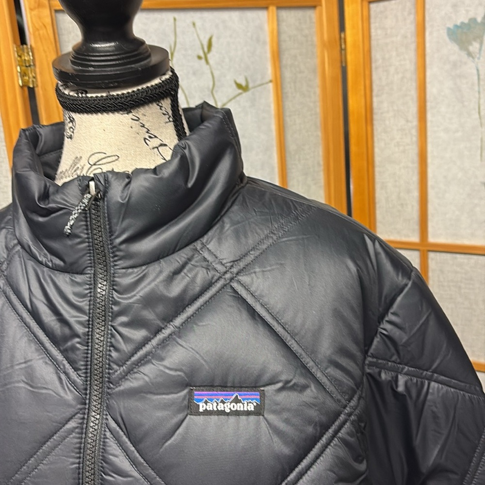 Patagonia Pine Bank Insulated Parka